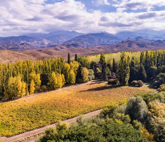 San Pablo IG, una nueva denominación de origen en Valle de Uco