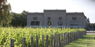 Bodega Trapiche, nuevamente reconocida como una de las mejores de Argentina
