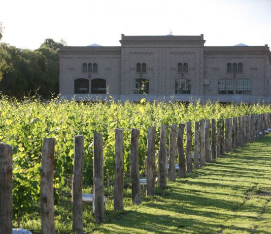 Expedición Sur: el primer vino patagónico de Bodegas Trapiche