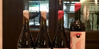 Solo Contigo Wines presentó su nueva línea de blends