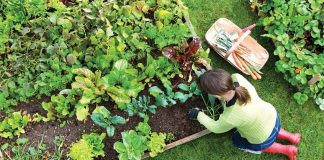 El INTA lanza un nuevo curso virtual sobre agroecología con inscripción libre y gratuita