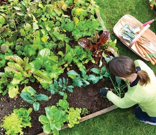 El INTA lanza un nuevo curso virtual sobre agroecología con inscripción libre y gratuita