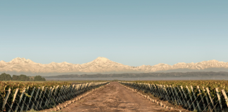 Los vinos de Doña Paula fueron destacados por Tim Atkin