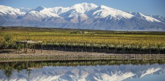 Doña Paula presenta «Sauvage Blanc», el primer espumante Sauvignon Blanc de la Argentina