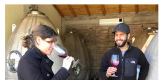 Llega #MasterclAAS, un encuentro virtual de vinos organizado por la Asociación Argentina de Sommeliers