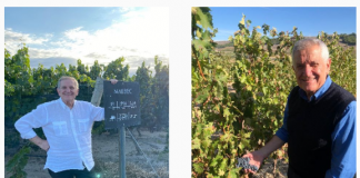 Un empresario vitivinícola argentino al frente de repatriaciones solidarias en tiempos de cuarentena