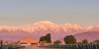 Cosecha 2020: Bodega Viña Las Perdices comparte sus novedades