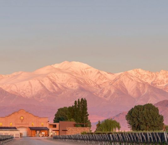 Cosecha 2020: Bodega Viña Las Perdices comparte sus novedades