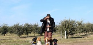 Comenzó la temporada de cosecha de trufas en Argentina