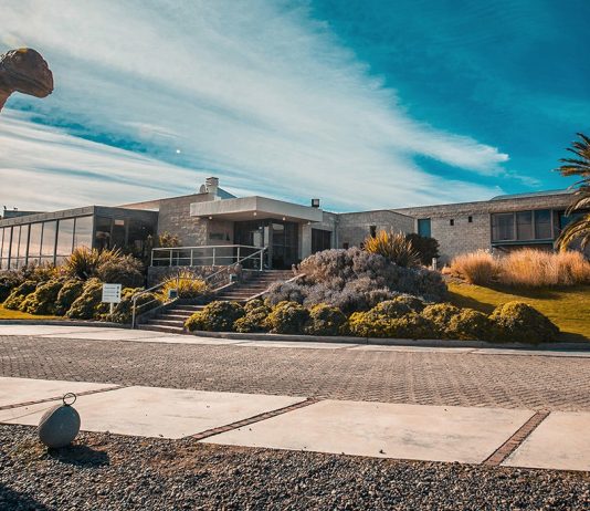 Familia Schroeder, la bodega patagónica, presenta su tienda online