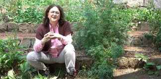 «Sonia en su huerta», un nuevo programa que enseña cómo cultivar nuestros alimentos