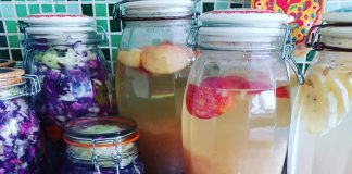 “Almacen De Fermentos», un libro de Silvina Premmurti