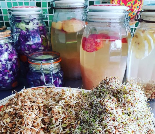 “Almacen De Fermentos», un libro de Silvina Premmurti