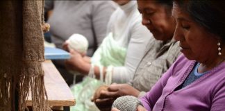 «Somos Fibra», la marca del INTA, reconocida por su gestión sustentable