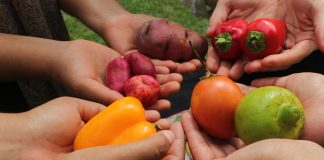 La red Slow Food lanza la campaña mundial «en mi plato»