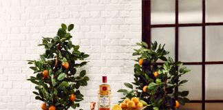 Flor de Sevilla: un nuevo gin inspirado en las naranjas españolas