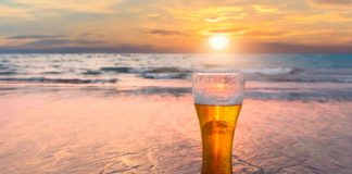 Gastronomía y cerveza en la Costa Atlántica: la propuesta de Stella Artois