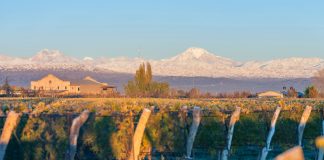 Viña Las Perdices abre sus puertas con grandes propuestas de enoturismo