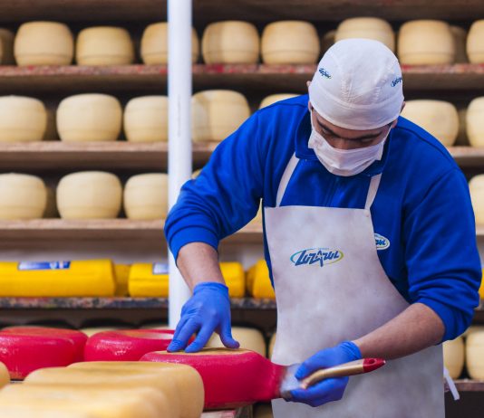 Cuáles son los quesos que más nos gustan a los argentinos tipos de quesos argentinos