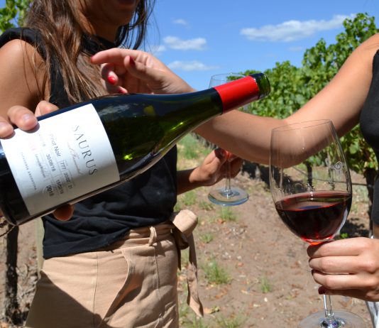 Saurus Garden: la propuesta para disfrutar al aire libre de Familia Schroeder