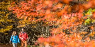 Otoño en Ushuaia, 5 recomendaciones para disfrutar del Fin del Mundo