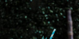 En el Día del Cocktail, compartimos los secretos de la coctelería Tiki