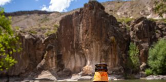 PEER: sidra argentina hecha con ciencia