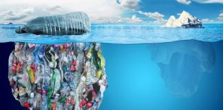 Según datos de la ONU, “para 2050 habrá más plásticos que peces en el mar»