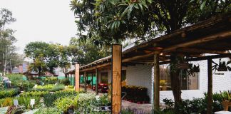 Herbarium: vivero y café en Pilar para una experiencia multisensorial