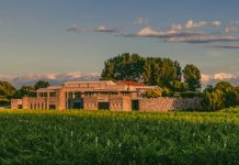 Bodegas Bianchi celebra 97 vendimias con nuevos vinos íconos y lanzamientos premium