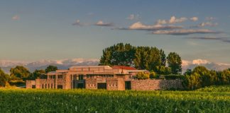 Bodegas Bianchi celebra 97 vendimias con nuevos vinos íconos y lanzamientos premium