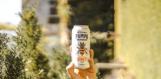 Pampa Honey, una cerveza de miel que busca salvar a las abejas