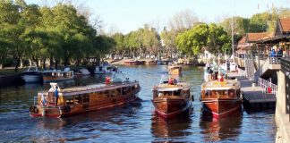 Verano 2022: Tigre, siempre cerca