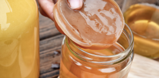 Día Mundial de la Kombucha: todo sobre esta bebida milenaria kombucha