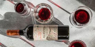 Alavida: el primer vino kosher y orgánico certificado de Argentina