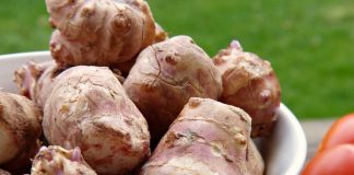 Topinambur: un alimento casi desconocido, exquisito y bondadoso