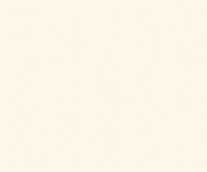 B-300x250px (1)