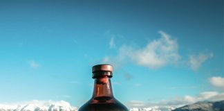 Bosque Nativo Gin fue nombrado “Mejor Gin de Argentina”