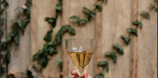 Vinos naranjos, una técnica ancestral que cautiva a consumidores y enólogos