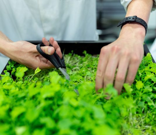 Día de la Madre Sustentable: «Las mujeres prefieren productos sustentables»
