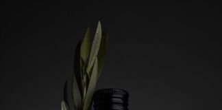 Familia Zuccardi Arauco, un aceite argentino entre los mejores del mundo