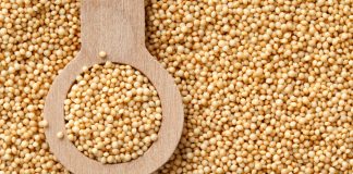 Amaranto: conocé de qué se trata y cómo prepararlo amaranto