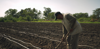 “Lo que no engorda mata”, una serie documental sobre lo que comemos
