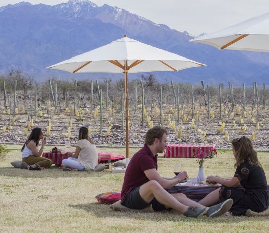 Solo Contigo Wine Fest: vinos, música y arte en el Valle de Uco