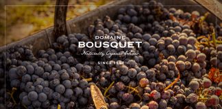 Premios IWSC: la bodega orgánica Domaine Bousquet, la única finalista argentina