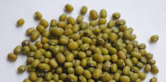 Porotos Mung: qué son y cómo prepararlos porotos mung