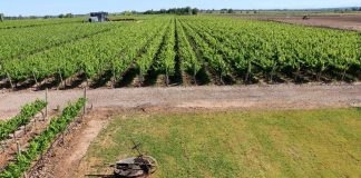 Finca Iral presenta sus vinos orgánicos finca iral