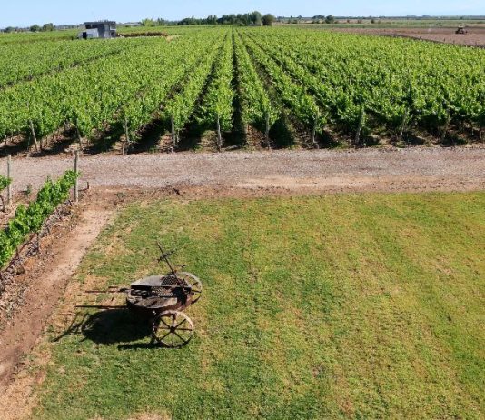 Finca Iral presenta sus vinos orgánicos finca iral