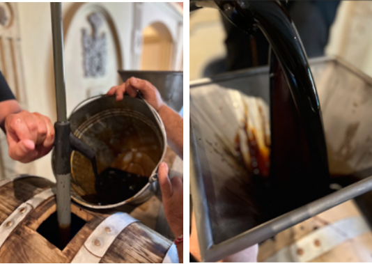 Llega una nueva edición de la “Vendimia del Aceto Balsámico” vendimia