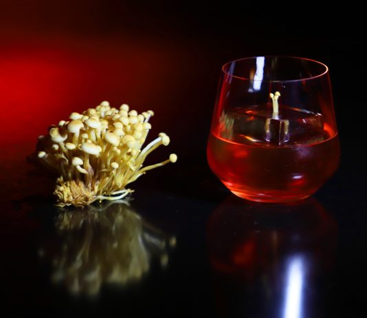 Campari Bartender Competition tuvo su primera edición en Buenos Aires campari bartender competition